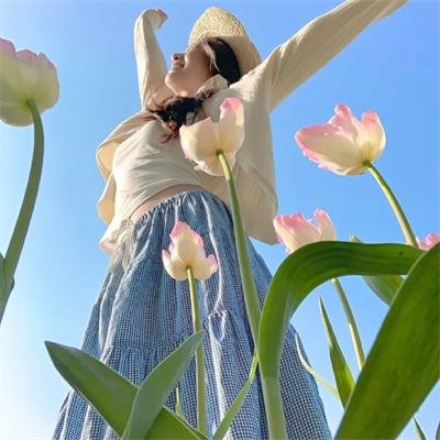 抓啄木鸟海报