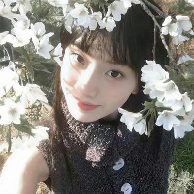 越前竹偶海报